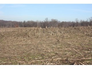 Property photo 3 - LAND AUCTION - 60+/- ACRES IN 1 TRACT IN DAVIESS COUNTY, INDIANA